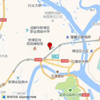 新津川办医院