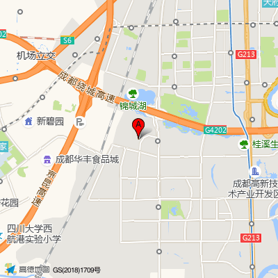 成都高新海尔森医院