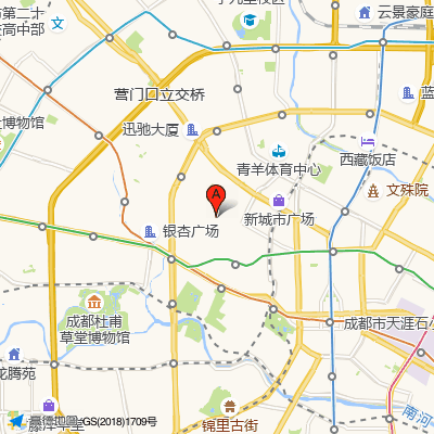 成都西部痛风风湿医院