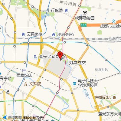 成都皮肤病研究所