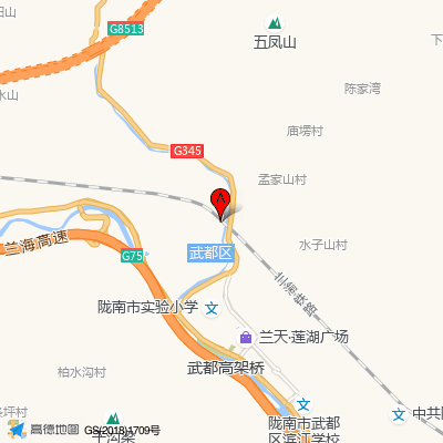 陇南市第一人民医院