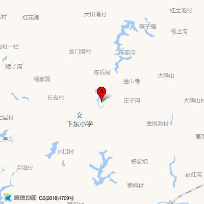 蓬溪县下东乡卫生院