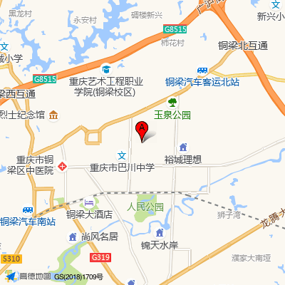 重庆市巴南区石龙镇卫生院