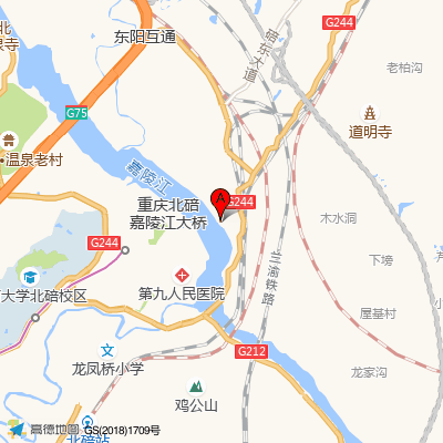 重庆市第九人民医院