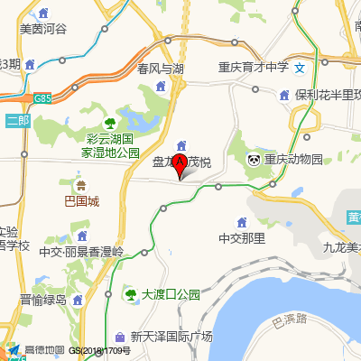 九龙坡区中医院