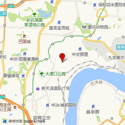 重庆红楼骨科医院