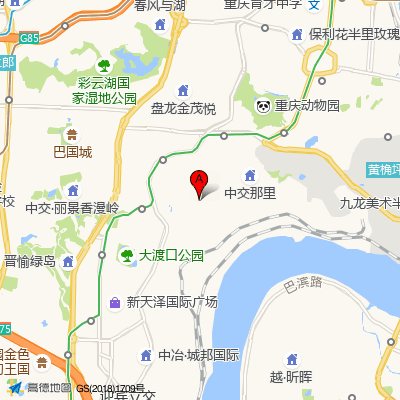 重庆九五医院