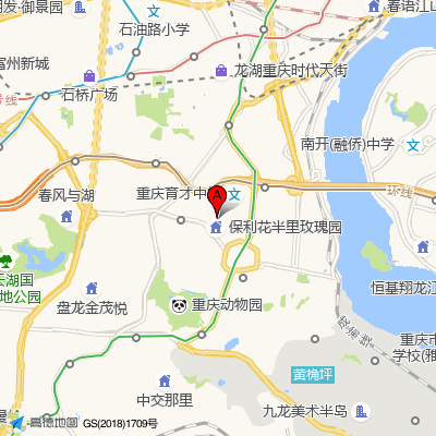 重庆市九龙坡区人民医院