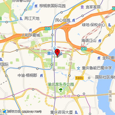 重庆德方济中医门诊部中药处方店