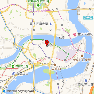重庆医科大学附属儿童医院