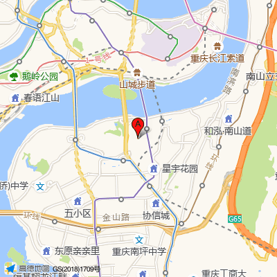 重庆慈佑中西医结合医院