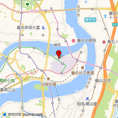 重庆市妇幼保健院