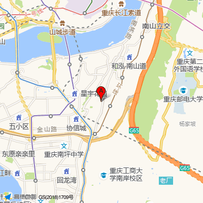重庆市南岸区人民医院