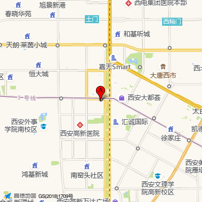 陕西省西安高新医院