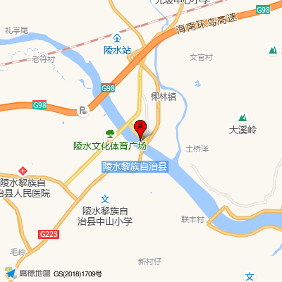 陵水黎族自治县中医院