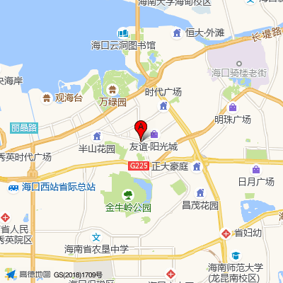海南省骨科医院