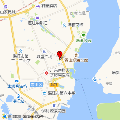 广东医科大学附属医院