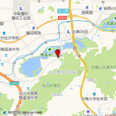 湘医博士团
