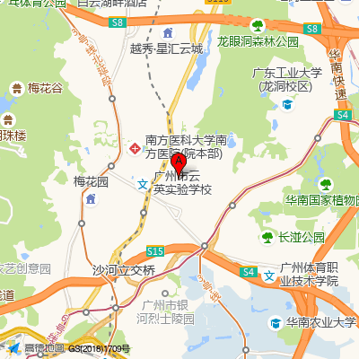 广东三九脑科医院 