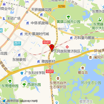东莞台心医院-无效