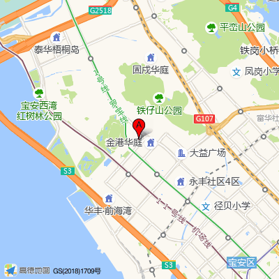 深圳恒生医院|三级综合医院