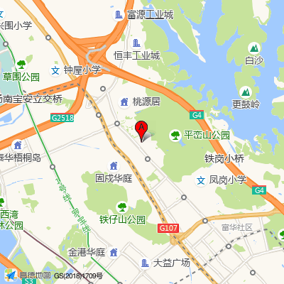 朱坳社康中心（宝安中心医院）