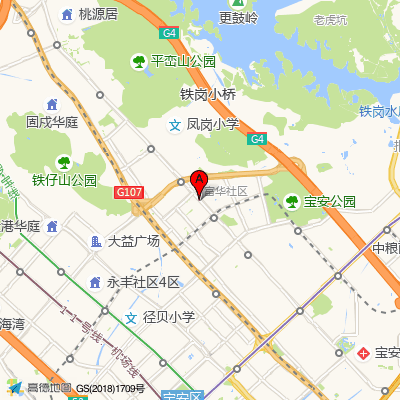 双龙社康中心（宝安中心医院）