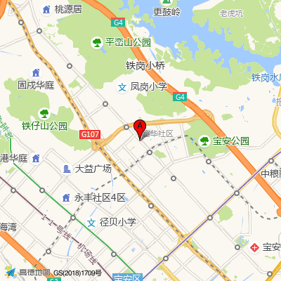 深圳市宝安区中心医院(广东医科大学附属宝安中心医院)