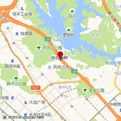 凤凰岗社康中心（宝安区中心医院）