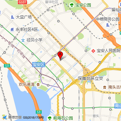 卓智未来·心理咨询（宝安机构）