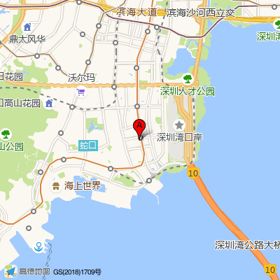 韩国丝客富脱发头皮管理(蛇口公馆店）