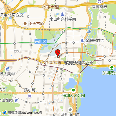 深圳壹妍壹生医疗美容诊所