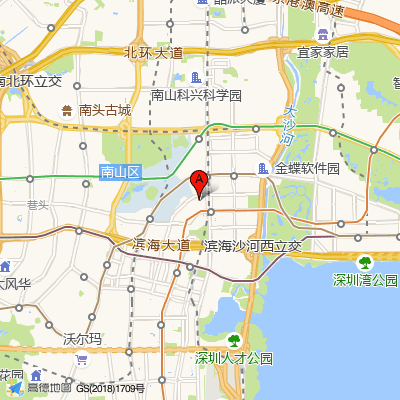 深圳维世达胜凯门诊部