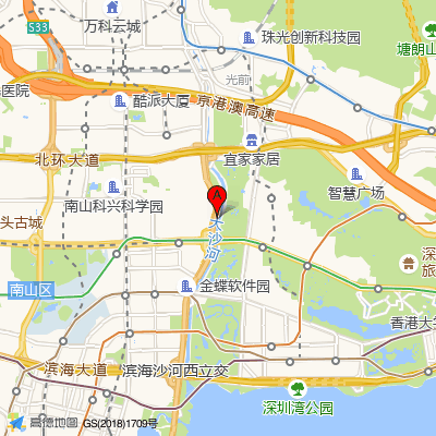 深圳爱康国宾【华强分院】