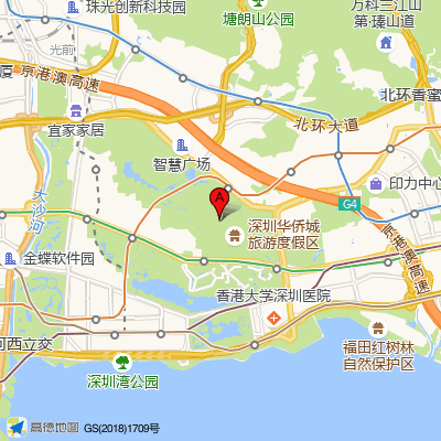 深圳芙蓉堂中医
