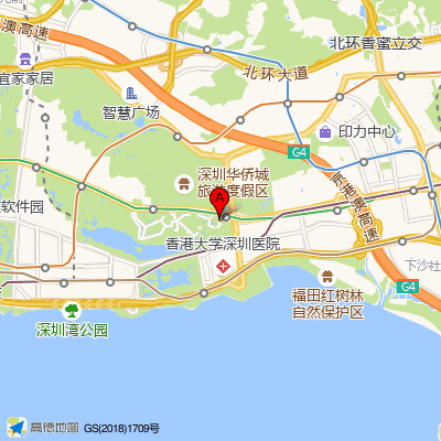 深圳瑞敏名医诊疗中心