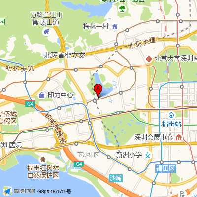 香港Young心理咨询（深圳总店）