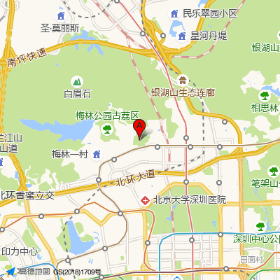 深圳九芝堂集杏元中医综合诊所