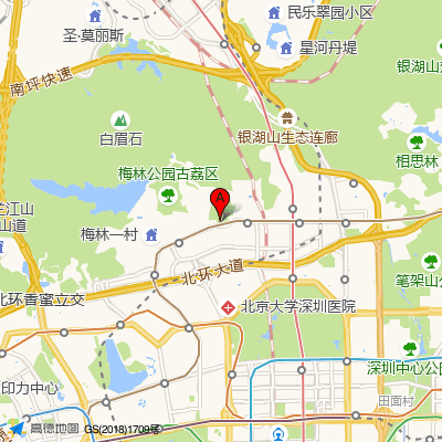 深圳桂方中医（综合）诊所