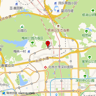 深圳鹏爱秀琪医疗美容医院-整形美容科