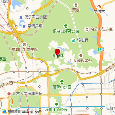 深圳雍禾植发