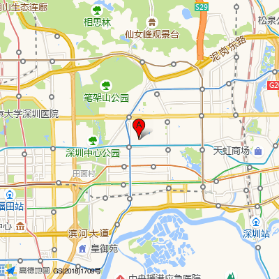 深圳德正堂正元中医门诊部