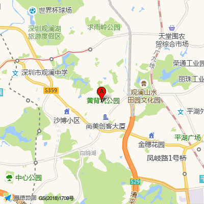 新田社康中心(龙华中心医院)