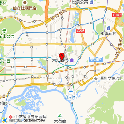 工行功能社康站（罗湖医院集团）