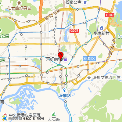 卓智未来·心理咨询（罗湖机构）