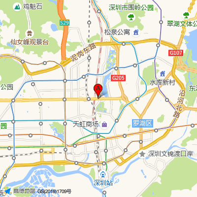 深圳市罗湖医院集团桂园街道社区健康服务中心