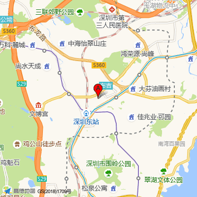 瑞尼丝国际专业脱毛连锁布吉店