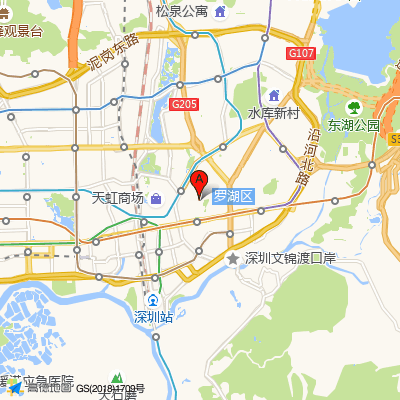 深圳睿京医疗美容门诊部