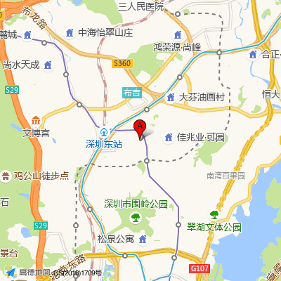 国展社康中心（龙岗第二人民医院）