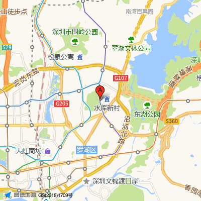 深圳颜美医疗整形